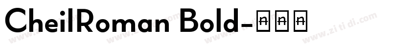 CheilRoman Bold字体转换